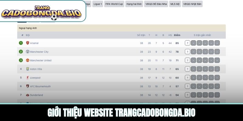 Giới thiệu website zvw.io