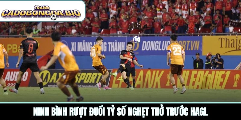 Ninh Bình rượt đuổi tỷ số nghẹt thở trước HAGL